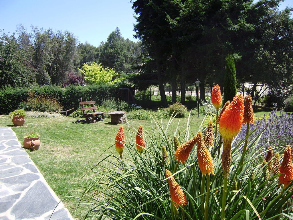Villa San Ignacio ซานคาร์ลอส เด บาริโลเช ภายนอก รูปภาพ